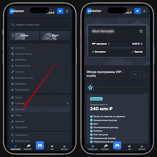 Система уровней лояльности